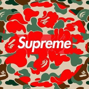 Meet your Posher, Robbie